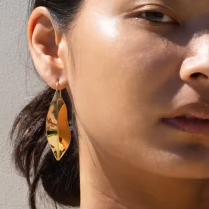 Rodeo Earrings