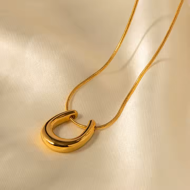 Horse Shoe Necklace
