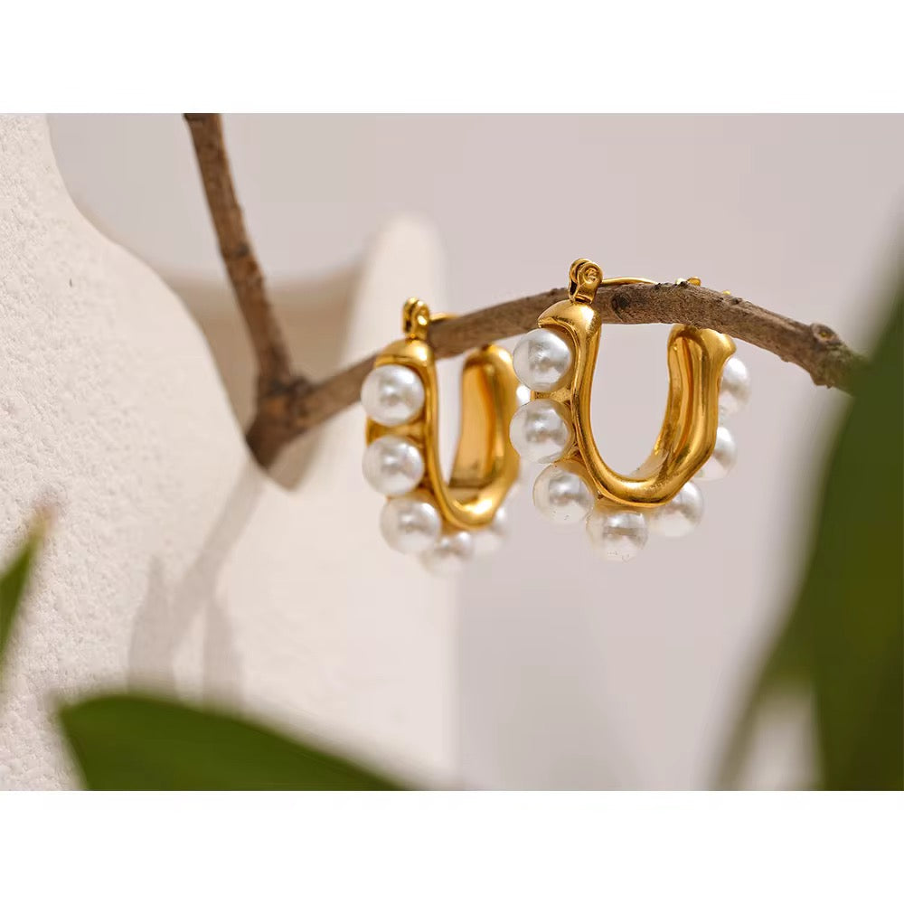 Rodeo Earrings