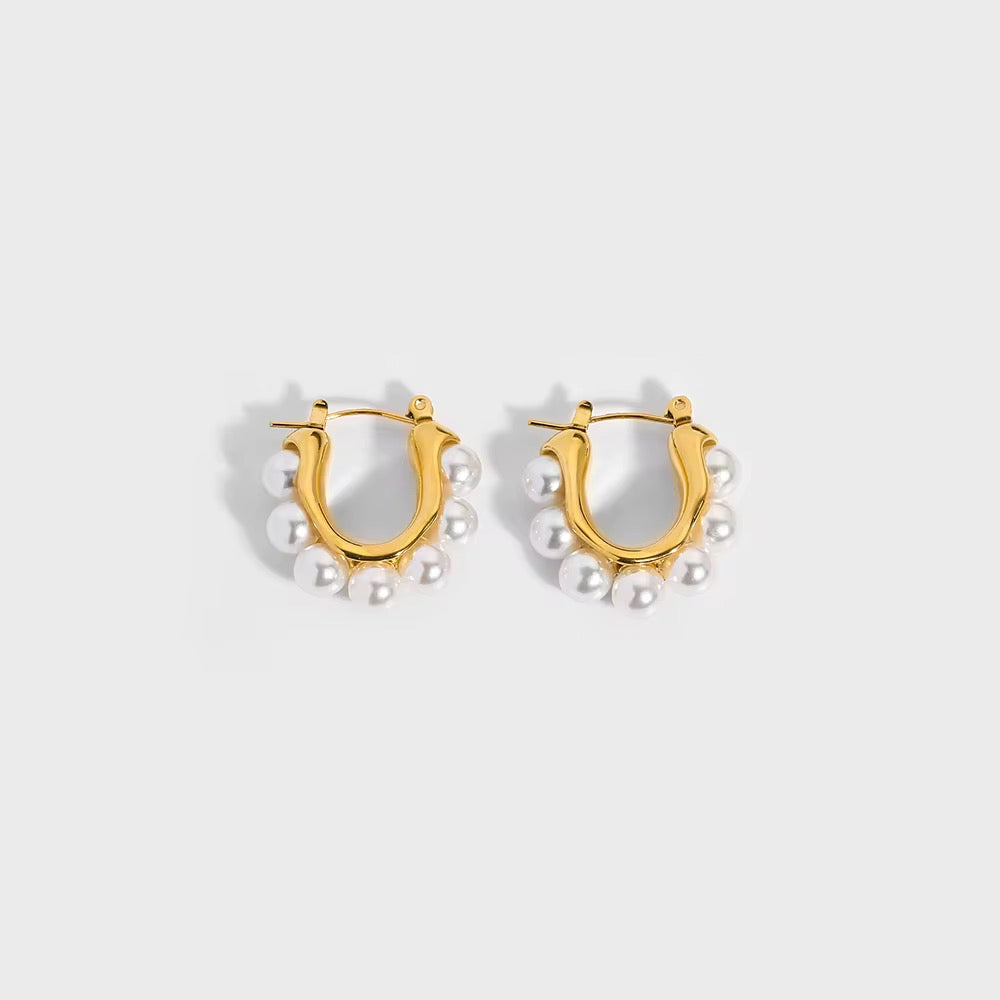 Rodeo Earrings