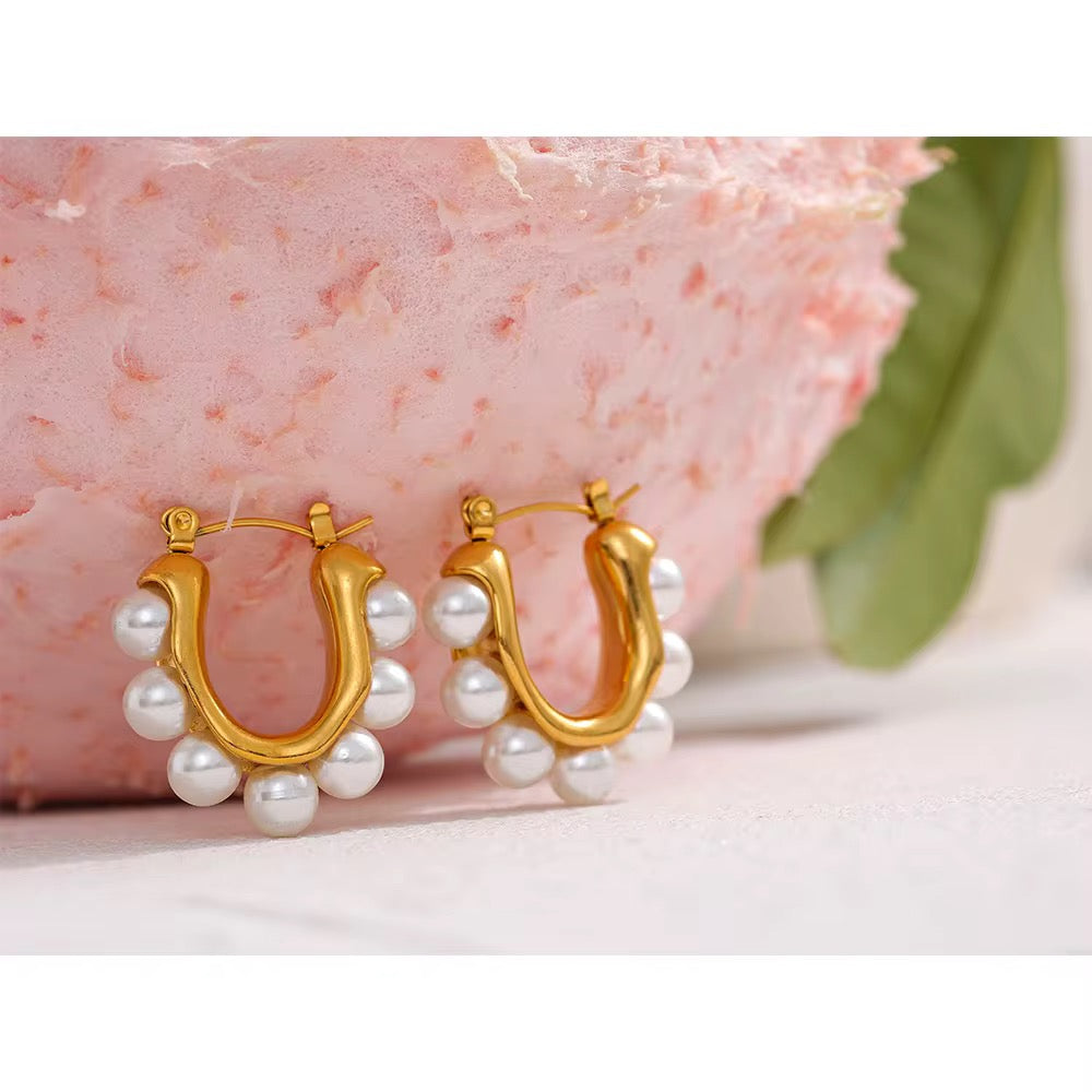 Rodeo Earrings