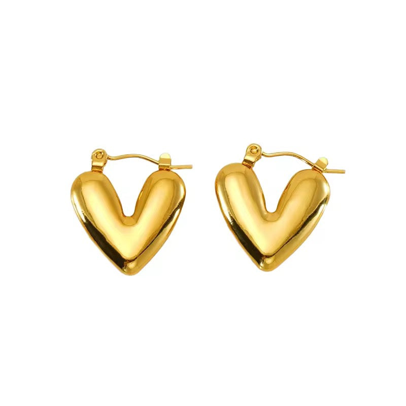 Heart beat Earrings